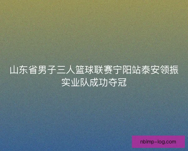 山东省男子三人篮球联赛宁阳站泰安领振实业队成功夺冠